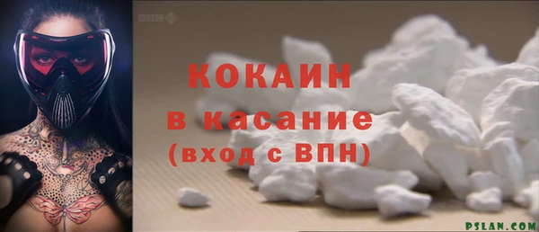 индика Беломорск