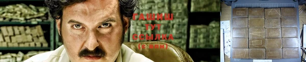 индика Беломорск