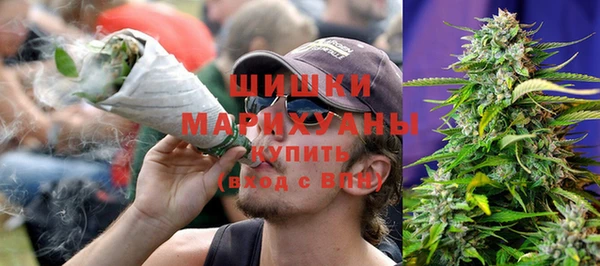 дмт Белокуриха