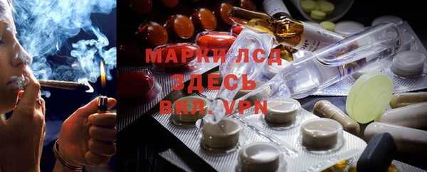 дмт Белокуриха