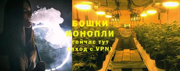 индика Беломорск