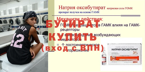 индика Беломорск