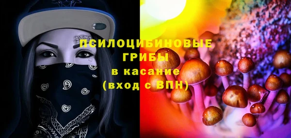 дмт Белокуриха