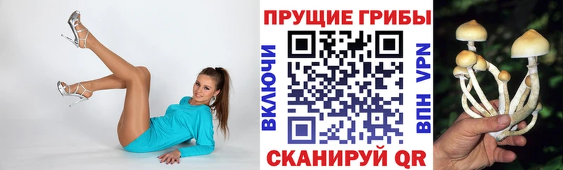 Псилоцибиновые грибы Psilocybe  ссылка на мегу как зайти  Назарово 